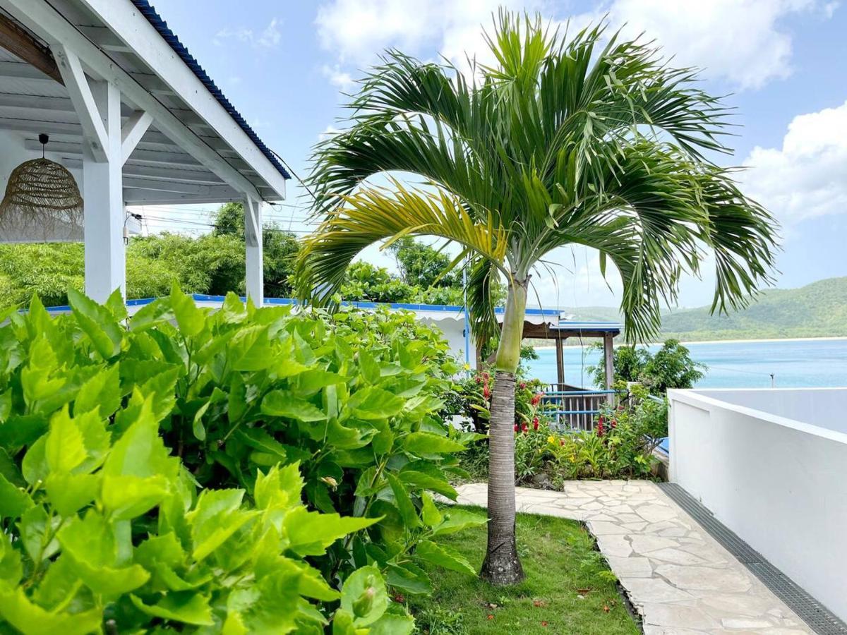 La Belle Vue - Grand Studio Vues Mer Et Acces Plages Deshaies Exterior foto